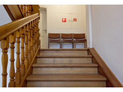 What kind of wood for stairs? The best types of wood for stairs