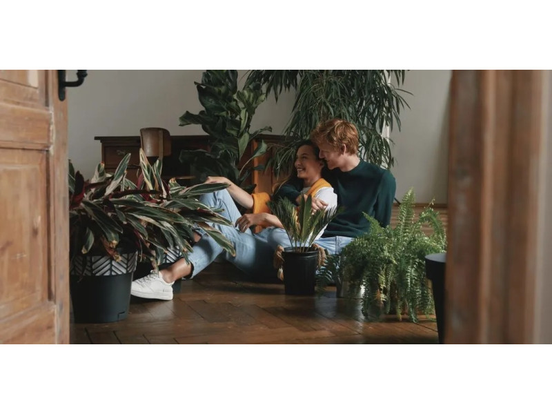 Як комбінувати різні види покриття для підлоги?