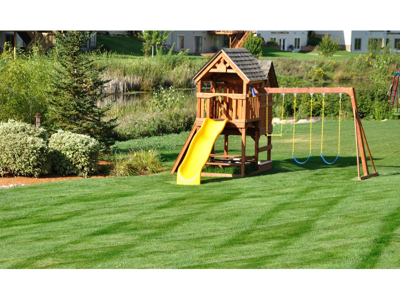 Яке дерево для дитячого майданчика вибрати?