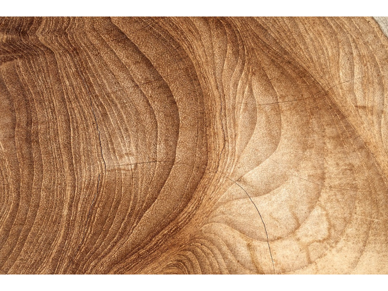 Таблиця калорійності деревини